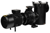 Astral Aral Plus C-1500 Three Phase Pump